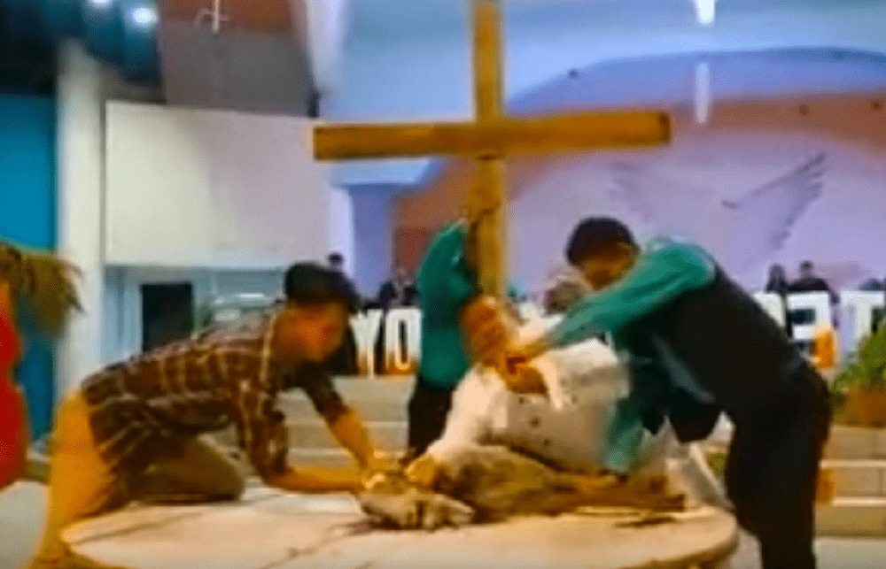 Pastor sacrifica cabra em altar de Igreja.